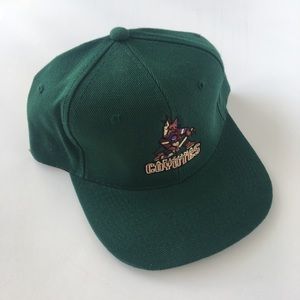 Vintage 90s Phoenix Coyote Sharktooth Snapback Hat